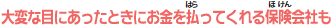 大変な目にあったときにお金を払ってくれる保険会社も